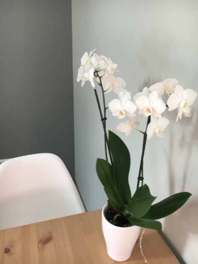 Apartament Easy Stay Center Wrocław Kültér fotó